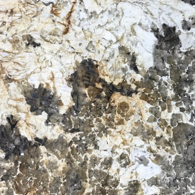 Blanc Du Blanc Granite