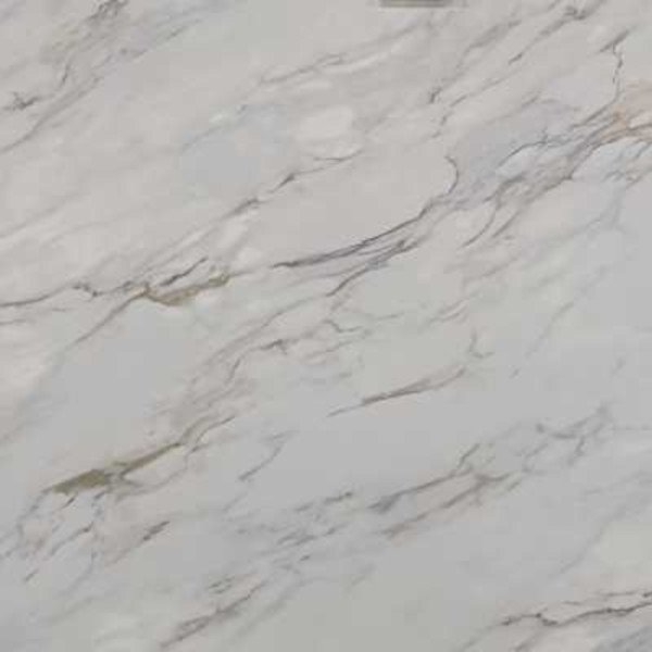 Calacatta Botanica Quartz