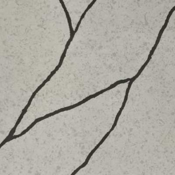 Calacatta Nero Quartz