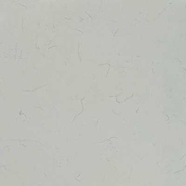Carrara Bianco Quartz